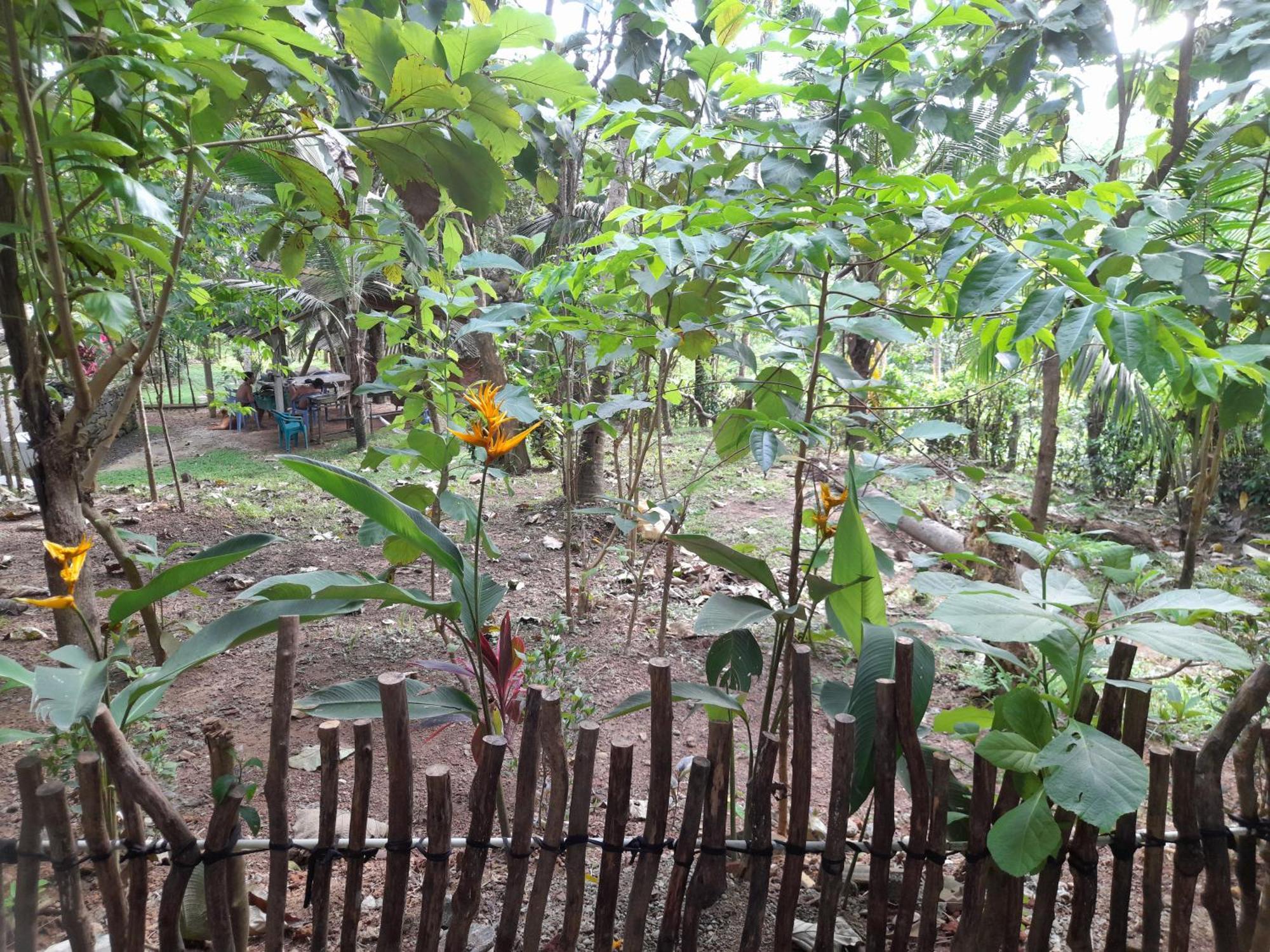 Linu Homestay Dickwella Exterior photo
